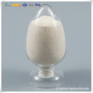 L-Lysin-Hydrochlorid 98,5 % Futterqualität CAS-Nr.657-27-2