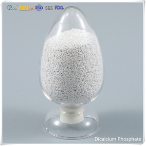 Weißes Dicalciumphosphat-Granulat in Futterqualität DCP CAS Nr. 7789-77-7 für Hühner