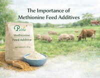 //5mrorwxhommniik.leadongcdn.com/cloud/liBqnKmmSRolmrokkikp/Feed-Additives-Methionine_703_550.png