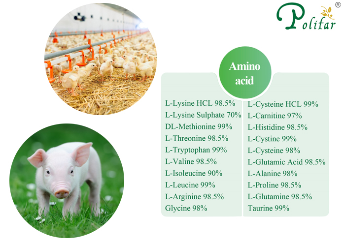 Welche Arten von Aminosäuren sind in Futtermittelzusatzstoffen enthalten?-Polifar