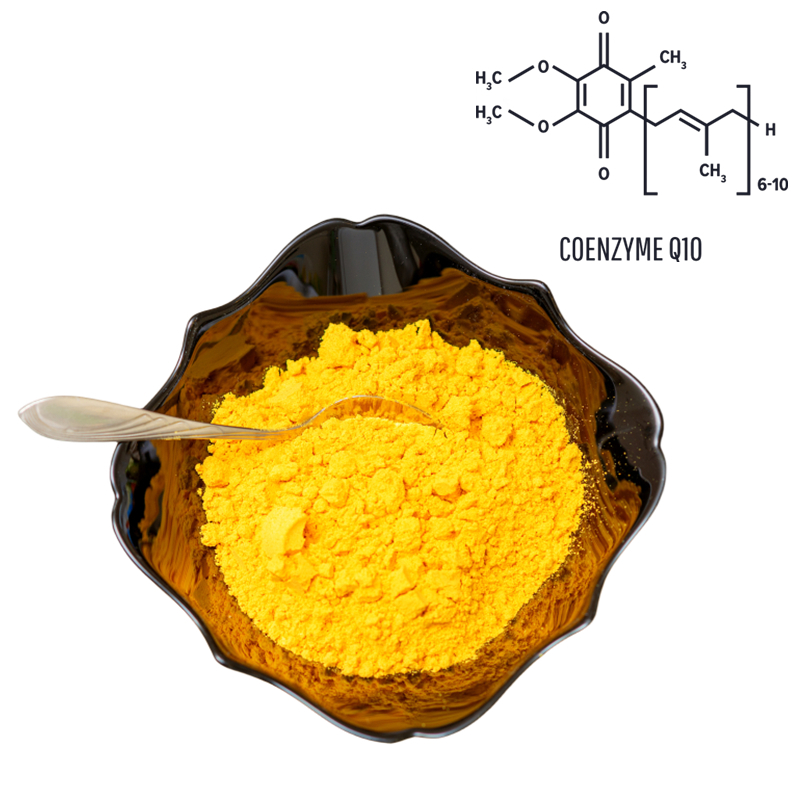 Von der FDA zugelassenes Coenzym-Q10-Rohstoff-Massenpulver