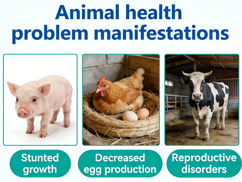 Symptome eines Cholecalciferol-Mangels