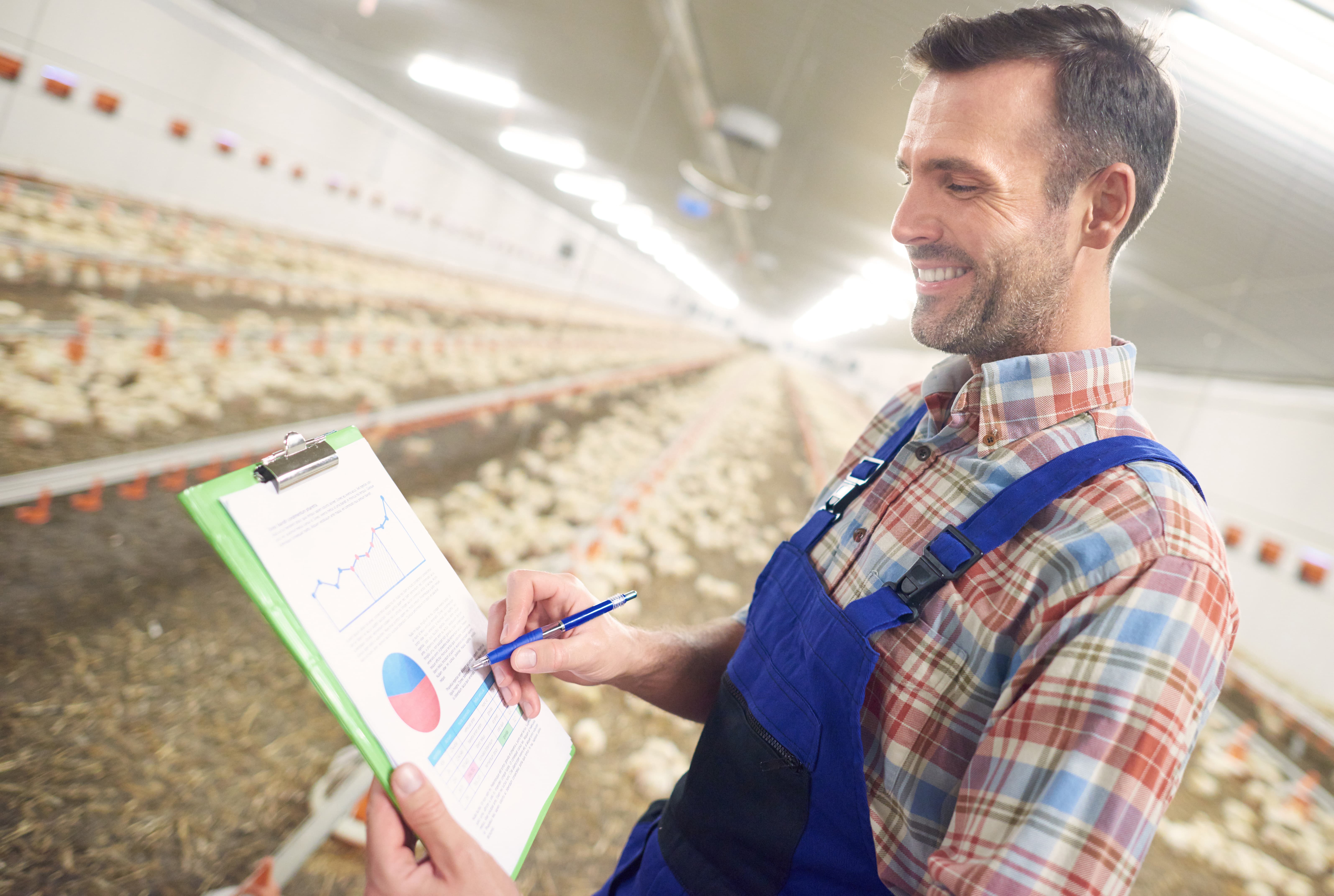 Junger Landwirt untersucht Wachstumsdaten für Hühner