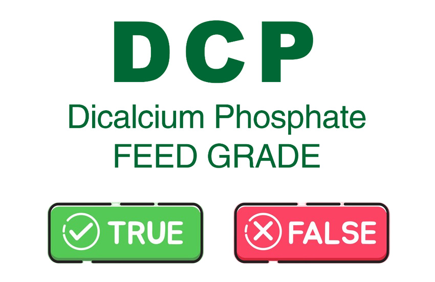 Methode zur Identifizierung von Dicalciumphosphat in Futtermittelqualität