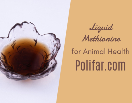 Polifar Liquid Methionine.jpg