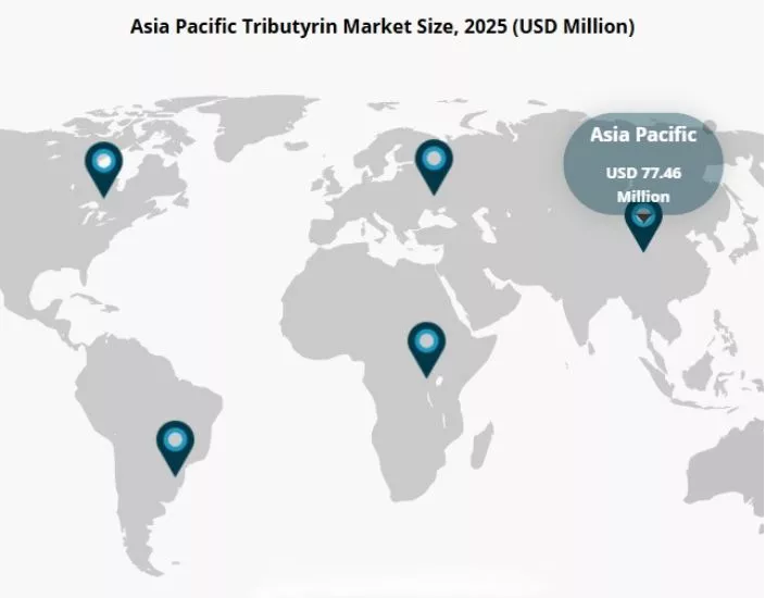 Tributyrins Latest Market Trends_704_550.jpg