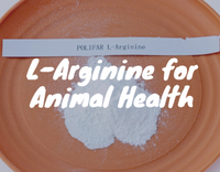 //5mrorwxhommniik.leadongcdn.com/cloud/loBqnKmmSRqkoqnplqkm/L-Arginine-for-Animals.jpg