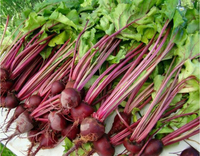 //5mrorwxhommniik.leadongcdn.com/cloud/lpBqnKmmSRolmomoipkm/betaine.jpg