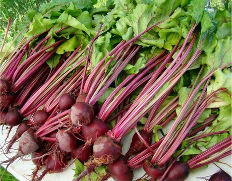 betaine.jpg