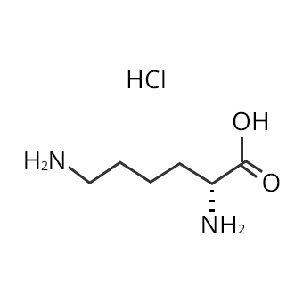 Struktur von L-Lysinhydrochlorid