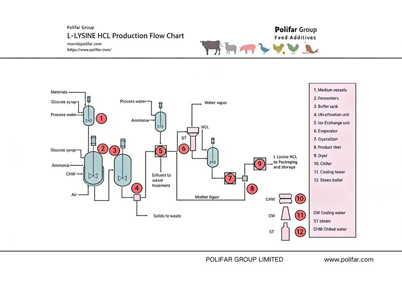 Flussdiagramm der L-Lysin-HCL-Produktion