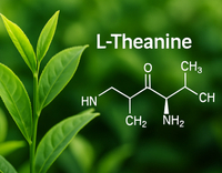 //5mrorwxhommniik.leadongcdn.com/cloud/lrBqnKmmSRjlnmroilkp/L-Theanine.jpg
