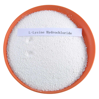 99 % L-Lysin-Hydrochlorid-Pulver in Lebensmittelqualität