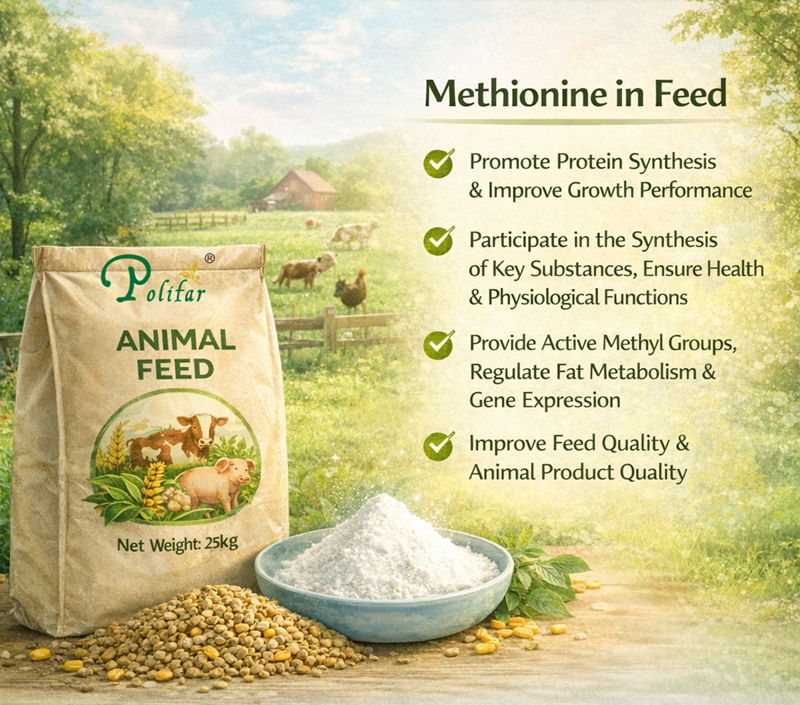 Wirksamkeit und Wirkung von Methionin