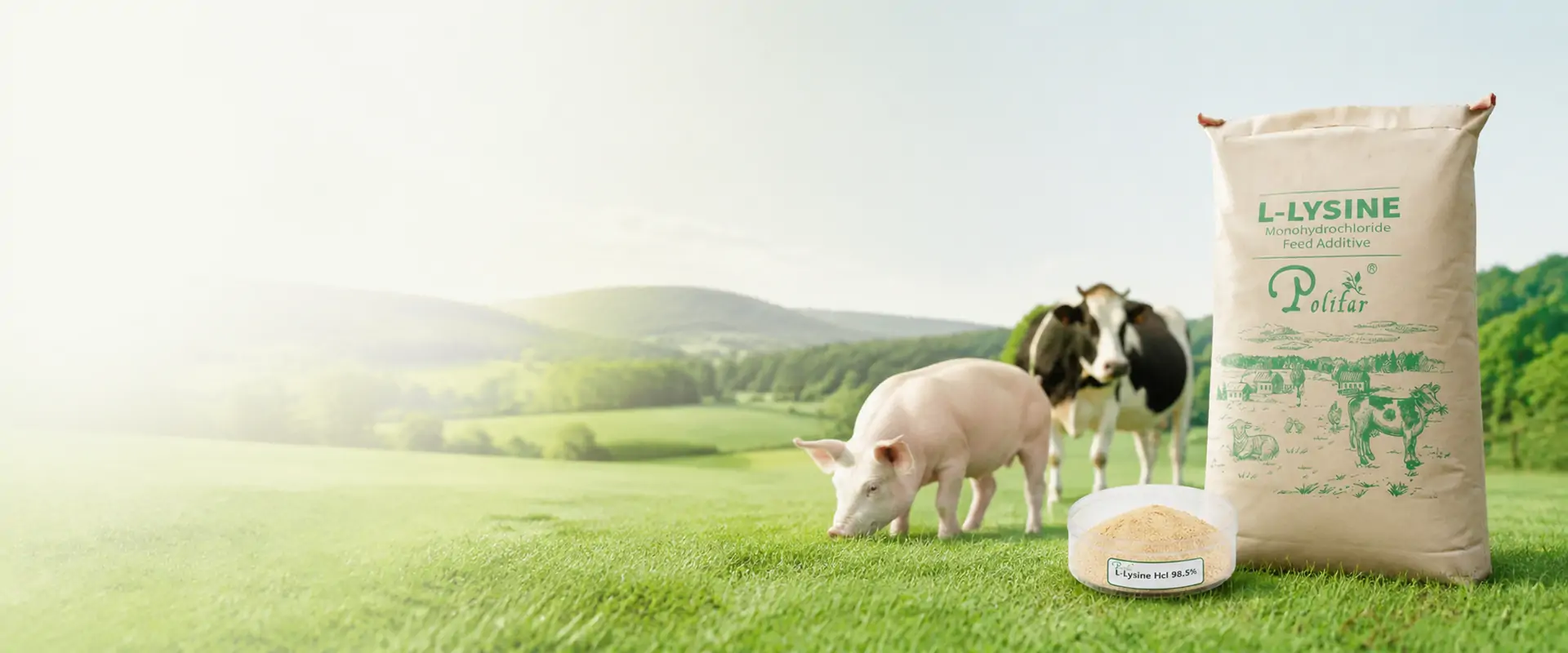 L LYSINE HYDROCHLORIDE FEED GRADE