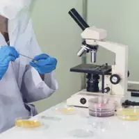 Inspektion des fertigen Produkts