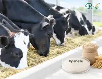 //5mrorwxhommniik.leadongcdn.com/cloud/pqBqnKmmSRmllpjnnqkm/Application-of-Xylanase-in-Ruminant-Feed_703_550.webp