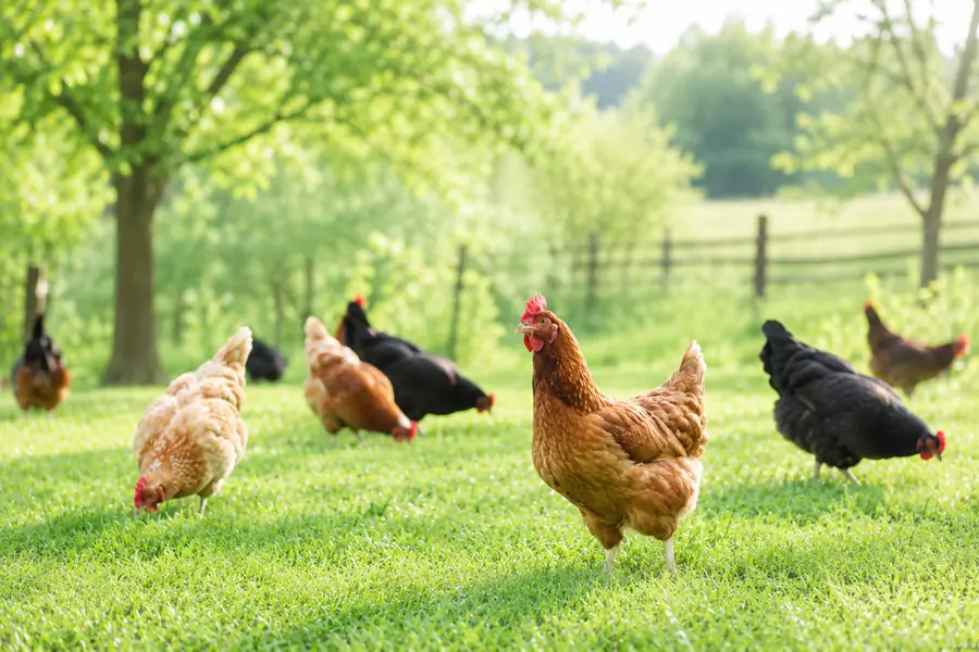 Tierschutz